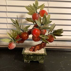 Jade peach bonsai tree